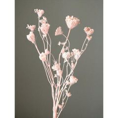 Item thumbnail for item 0aac6140-6cb2-4fe2-9ce6-5be247c2dd06