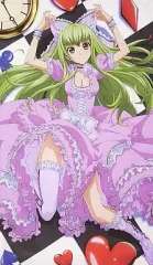 コードギアス 反逆のルルーシュ　ルルーシュ&スザク　A1タペストリー　布ポスター コードギアス 反逆のルルーシュ CLAMPイラスト A1タペストリー (スザク