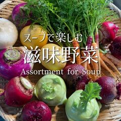 スープで楽しむ滋味野菜 宅急便コンパクト 野菜セット 野菜詰め合わせ