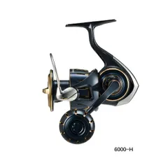 2026年最新】ダイワ ソルティガ 6500の人気アイテム - メルカリ