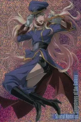 2025年最新】カードダスマスターズ マクロスFの人気アイテム