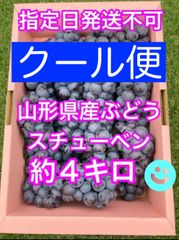 🟦クール便🟦山形県産ぶどう スチューベン約４キロ