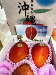 沖縄県産　減農薬　マンゴー　約1キロ