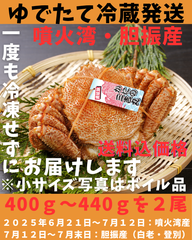 ゆでたて冷蔵便ボイル毛ガニ　2尾　400ｇ～440ｇ活時計量　噴火湾　胆振