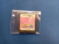 ニンテンドーDS もえスタ~萌える東大英語塾~