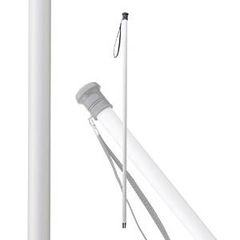 Item thumbnail for item 99e82613-f0e4-43e1-8771-6508c8e01ebc