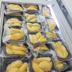 冷凍ドリアンMonthong 500g*10pとジャークフルツ5パックセット