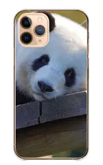iPhone 13 iPhone13 ケース カバー アイフォン13 スマホケース ハードケース パンダ ぱんだ ジャイアントパンダ 可愛い 写真 動物 アニマル かわいい かっこいい カラー10