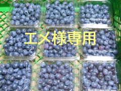 エメ様専用　農薬不使用、生食用ブルーベリーミックス2㎏プラスα！♪