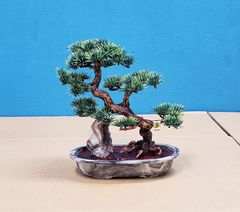 【造花】盆栽松（小）石付き　JOA-214