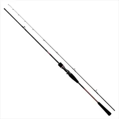 DAIWA - 【中古/極上品】 ダイワ 紅牙 X 69HB   /A349L 2025年最新】ダイワ 紅牙x 69hbの人気アイテム - メルカリ