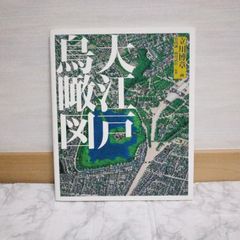 472bb14   大江戸鳥瞰図