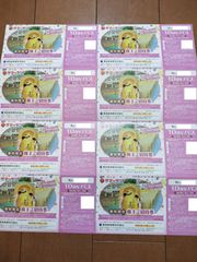 東京サマーランド　8枚　株主優待券　2025年10月19日まで