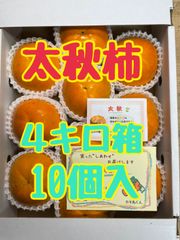 【太秋柿】４キロ箱　10個入