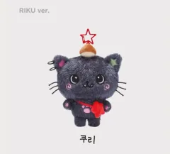NCT WISH DOLL ウィッシュ ドール ぬいぐるみ マスコット リク 2025年最新】wish doll リクの人気アイテム - メルカリ
