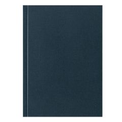 Item thumbnail for item fd88a731-ad7e-4c63-aa5c-3c78d153275c