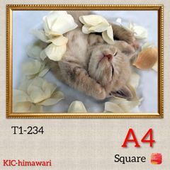 A4額付き square【T1-234】ダイヤモンドアート
