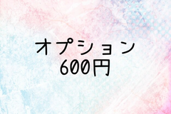 オプション 600円