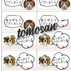よしさま専用（カード）