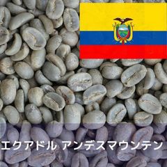 コーヒー生豆 エクアドル アンデスマウンテン Qグレード 1kg