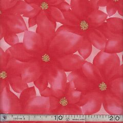 特価 ポインセチア柄 レッド1m