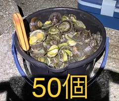 2025年最新】石鯛餌の人気アイテム - メルカリ