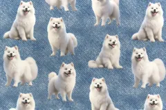 2025年最新】サモエド デニムの人気アイテム - メルカリ