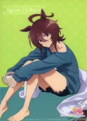 【中古】下敷き アグネスタキオン 「フラットガシャポン 劇場版 ウマ娘 プリティーダービー 新時代の扉 NAMCO Promotion～Relax time～ A4コレクタブルクリアボード～Relax time～」 バンダイナムコアミューズメント限定