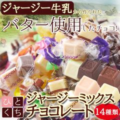 チョコ お菓子 いろんな味が楽しめる!!【お徳用】ジャージーミックスひとくちチョコレート300g SM00010650