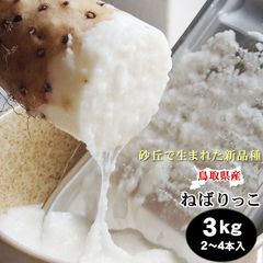 ねばりっこ(3-4本入) 約3㎏ 鳥取県特産品とろろ[常温]イモながいも長芋