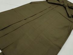 Item thumbnail for item 1374fba6-6a0f-4d74-b3ef-484b3fb4f229