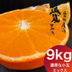 愛媛産　まどんな（紅まどんな同品種）　秀品＋家庭用ランク込み9kg