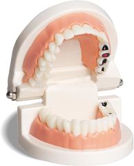 Item thumbnail for item 6900c2c4-8e30-4935-83b3-6f953ebeded9