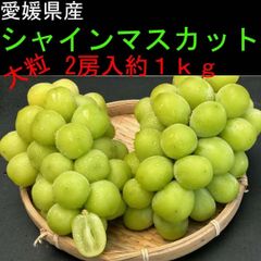 【愛媛県産】シャインマスカット　（2房入約１ｋｇ）