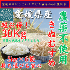 令和7年度　無農薬栽培　新米【玄米・白米選べます】愛媛県産　お米　きぬむすめ　30kg　農薬不使用