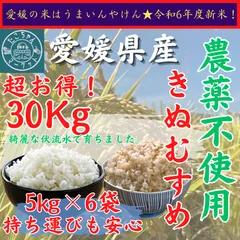 【農家直送】R6定温貯蔵中山間栽培きぬむすめ玄米10キロ　山口県産　６ R6年産 冷めても美味しい こだわり栽培米 玄米 10kg | 無農薬