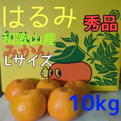 ぷりぷり！はるみ　和歌山みかん　秀品 L 10kg