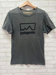 ⭐︎ Patagonia パタゴニア USA アメリカ製 Tシャツ