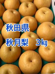 秋田県　秋月梨　3㎏