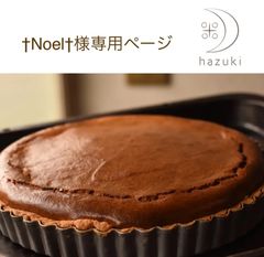 †Noel†様専用ページ