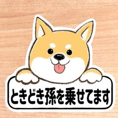 ときどき孫を乗せてます【茶柴.ボード】マグネットタイプ
