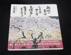 小泉淳作　「如意輪観音像」　リトグラフ　直筆サイン・落款・作品証明シール有り 小泉淳作 「如意輪観音像」 リトグラフ 直筆サイン・落款・作品