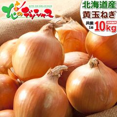 【予約/9月中旬(9月12日)頃～出荷予定】 北海道産 新玉 玉ねぎ 10kg (JA共撰/M-Lサイズ) 秋野菜 玉葱 たまねぎ タマネギ 食品 野菜 万能野菜 ギフト 贈り物 お祝い 内祝い プレゼント ご家庭用 北海道 グルメ お取り寄せ
