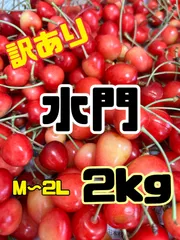 92 予約販売　北海道産　さくらんぼ　水門　2キロ