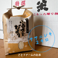 お米　令和6年産　ササニシキ　2キロ