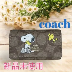 2024年最新】coach スヌーピー キーケースの人気アイテム - メルカリ