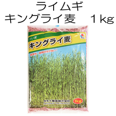 ライムギ種子　キングライ麦　1kg　タキイ種苗【種】ライ麦　緑肥の種　おもに秋まき