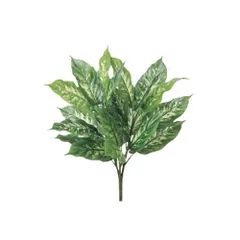 2025年最新】ディフェンバキアの人気アイテム - メルカリ