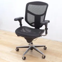 Q*送様 エルゴヒューマン エンジョイ enjoy エルゴヒューマン Enjoy Ergohuman ハイスペックチェア オフィス