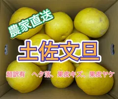 さっぱり上品な甘さ＆ぷりぷり粒立ち食感　愛媛県産 土佐文旦【お買い得規格外品】5kg(箱込)